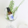 BLOOMING LIFTING ESSENCE - ALL NATURAL